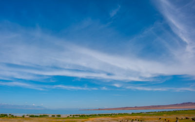 Mongolie – À quelque part au milieu de nulle part